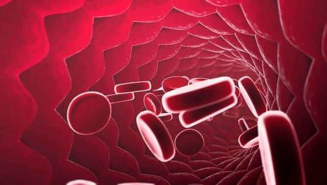Blood vessel